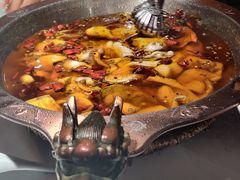 -雲蜀龙阁·金牌水煮鱼(方庄店)