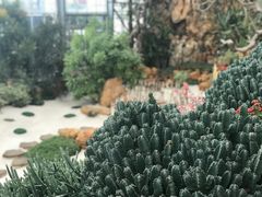 -南通洲际绿博园