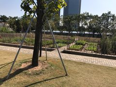 景点-海珠儿童公园