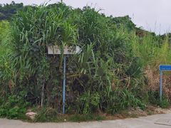 -南丫岛