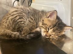 -么么咖啡(燕郊店)