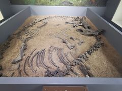 -呼伦贝尔民族博物馆