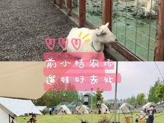 -前小桔亲子创意农场·草莓采摘·露营烧烤