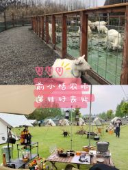 -前小桔亲子创意农场·草莓采摘·露营烧烤