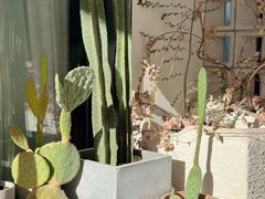-AHAVA·Fang Baking Studio