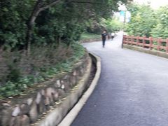 -杭州半山国家森林公园