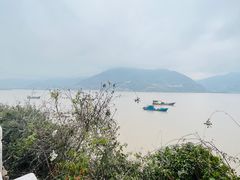 -北岐滩涂