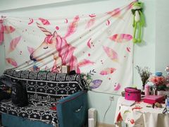 -大朵绵羊の甜品店