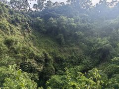 -海口火山口国家地质公园