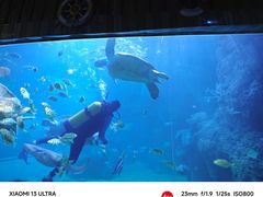 -左海海底世界