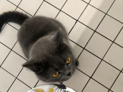 -ID.PHOTO照相馆(嘉里企业中心店)