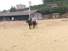 -观澜山水田园
