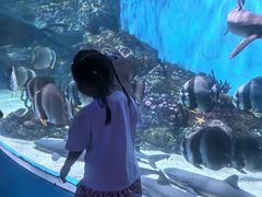 -海合安成都极地海洋公园