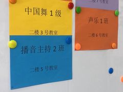 -小荧星艺校(浦东中环分校)