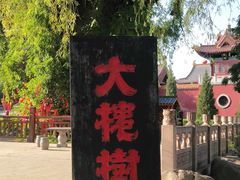 -大槐树寻根祭祖园