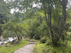 -土司宴