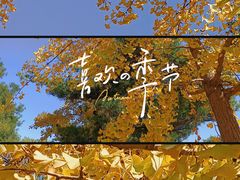 -长白岛森林公园