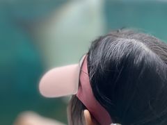 -新加坡水上探险乐园