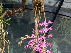 -北京植物园-展览温室