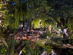 -Fern Forest Cafe