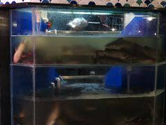 -鱼酷活鱼烤鱼(梅江印象城店)