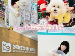 -美联众合动物医院·24h京西诊疗中心