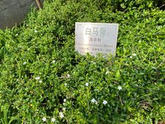 -广州神农草堂中医药博物馆