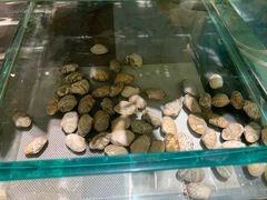 -安徽饭店·白鹭阁自助餐厅(梅山路店)