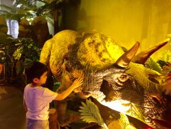 -恐龙探索乐园(磁器口店)