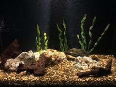-暹罗海洋世界