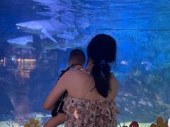 -烟台海昌鲸鲨海洋公园