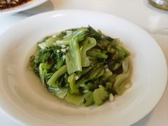 -四季春