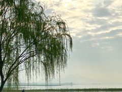 -苏州太湖国家湿地公园