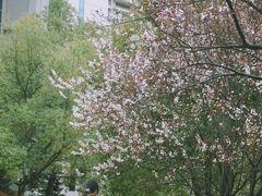 -南华大学(红湘校区)