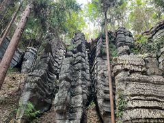 -梭布垭石林景区