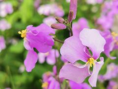 -白塘生态植物园
