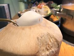 鲜椰冻-生如夏花泰式火锅(鹭洲里店)