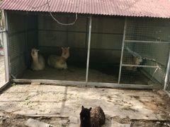 -意大利农场度假村