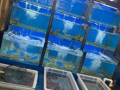 水产区-老东镇啤酒屋海鲜加工·蒸汽海鲜·海鲜烧烤(台东店)