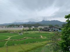 -禾悦庄餐厅
