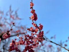 -静安雕塑公园