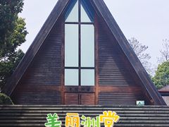 -美丽洲堂