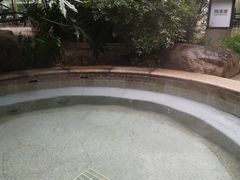 -融汇温泉