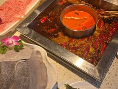 -二荆条·蜀鲜汇城市森林火锅