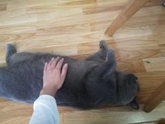 -壹人壹像工作室(购物公园店)