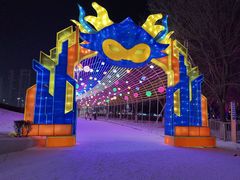 -沈阳奥体冰雪嘉年华