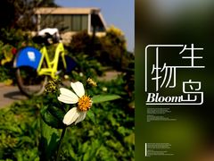 -广州国际生物岛