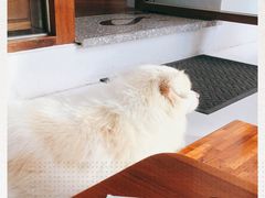 -Line 咖啡(石厦花园店)