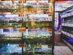 水产区-桥东喜碧海鲜街(水东街店)