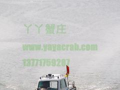 快艇-丫丫蟹庄·苏式园林农家乐·阳澄湖大闸蟹(阳澄湖莲花岛店)